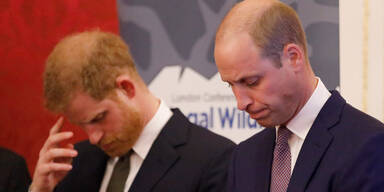 William & Harry: Versöhnung an Opa Philips Grab?