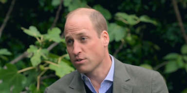 william klimaschutz.PNG