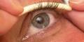 wimpern
