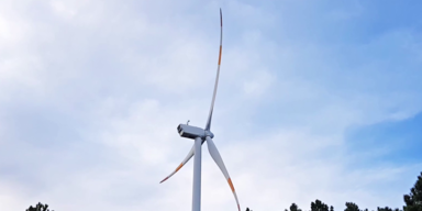 windbranche.png