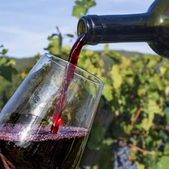 Mordverdacht: Winzer 