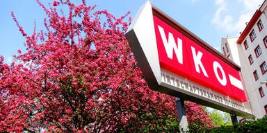 24 Personen in Wien an Noroviren erkrankt