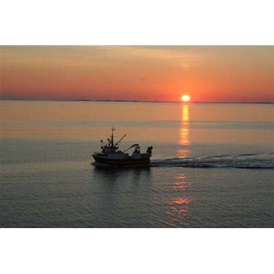 Die romantischsten Fotos