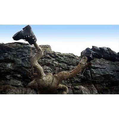 Das lustigste Sommerfoto