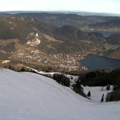 So grün ist derzeit Österreich