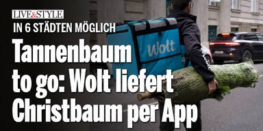 Tannenbaum to go: Wolt liefert Christbaum per App