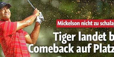 Sex-Tiger bei Comeback auf Rang 4