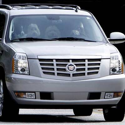 Woods von Ehefrau verprügelt