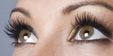 wimpern