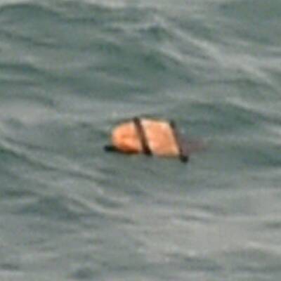 Wrackteile der vermissten AirAsia-Maschine wurden im Meer gefunden.