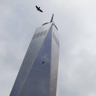WTC: Fensterputzer stürzen ab