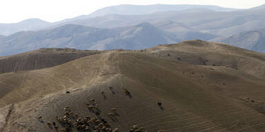 Wanderer in der Wüste erfroren