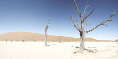 Weltweit wärmster Monat Juni aller Zeiten