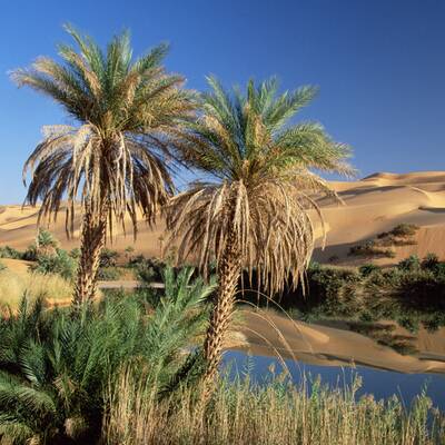 Sahara, Libyen: 4300 Sonnenstunden