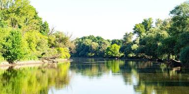 March-Auen: viadonau setzt auf gestaffelte Renaturierung