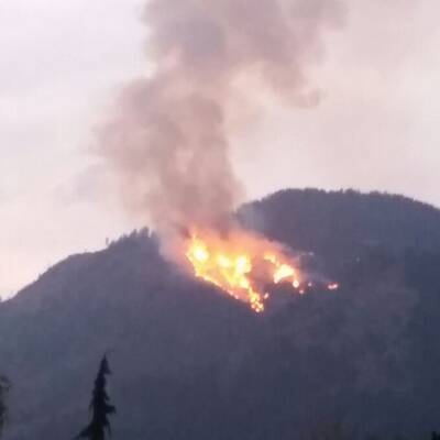 Waldbrände in Kärnten 