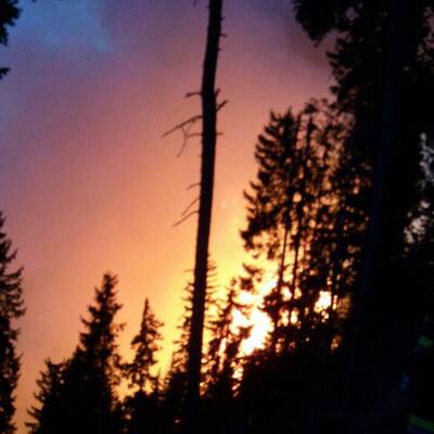 Waldbrände in Kärnten 