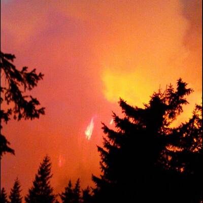 Waldbrände in Kärnten 