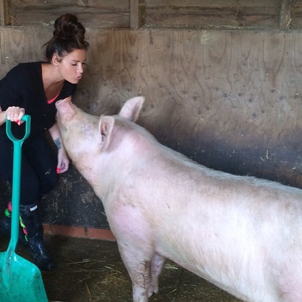 Katie Price im Schweinestall