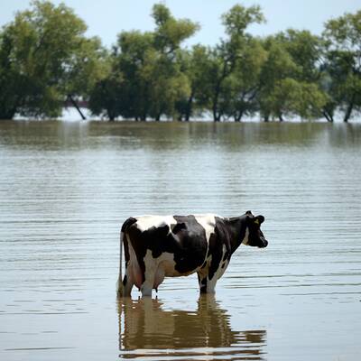 Deutschland versinkt im Hochwasser