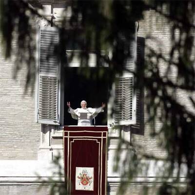 NÖ-Tanne für den Papst