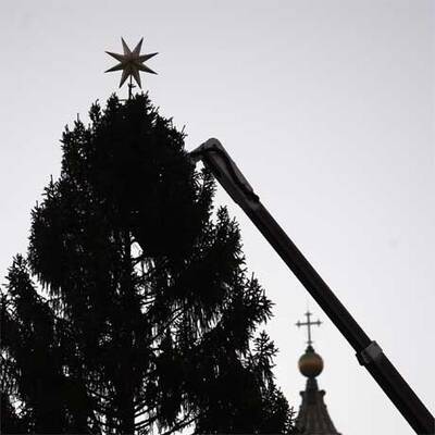 NÖ-Tanne für den Papst