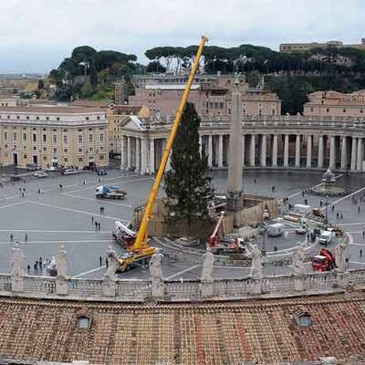 NÖ-Tanne für den Papst