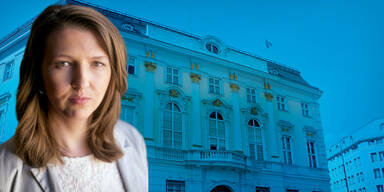 Beinschab: Ihre geheime Aussage