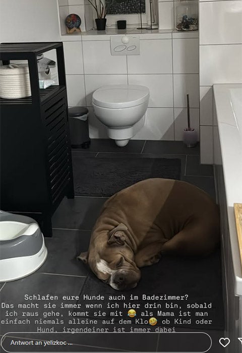 Yeliz Koc teilt lustigen Einblick - 