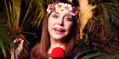 Tina York Dschungel