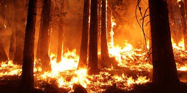 Yosemite Park Waldbrand