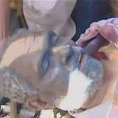 Auch der frühere Verteidigungsminister Gaddafis, Abu Baker Yunis Jabir, wurde getötet