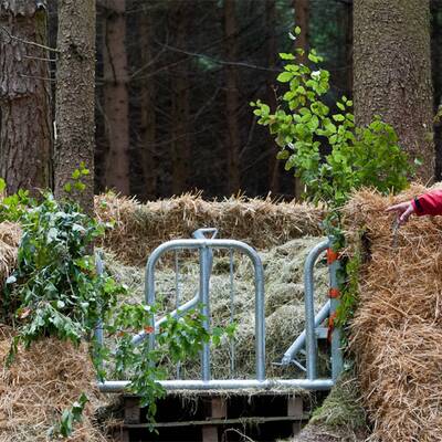 Kuh Yvonne ist weiter auf der Flucht