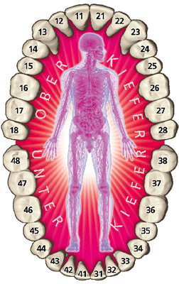 Die Sprache der Zähne