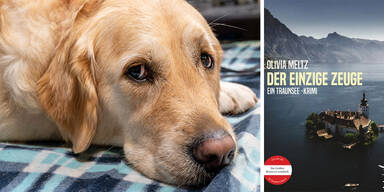 Der Goldie wird's schon richten