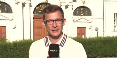 zadic schwanger.PNG