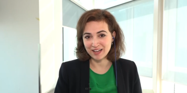 &Ouml;VP-Breitseite gegen Zadic