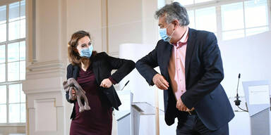 Baby-Pause: Kogler vertritt Justizministerin Zadic