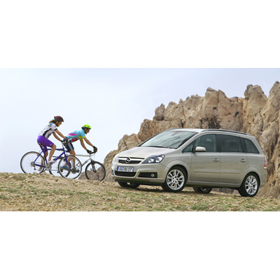 Überblick über die beliebtesten heimischen Vans