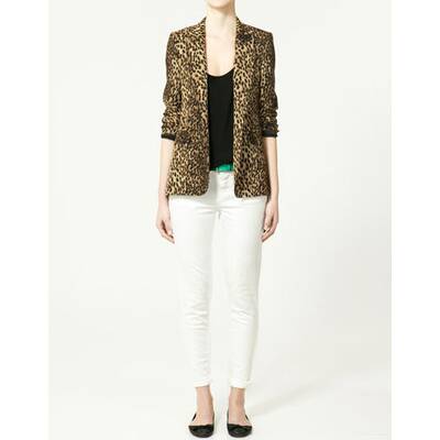 City Safari mit Leo, Zebra und Co. 