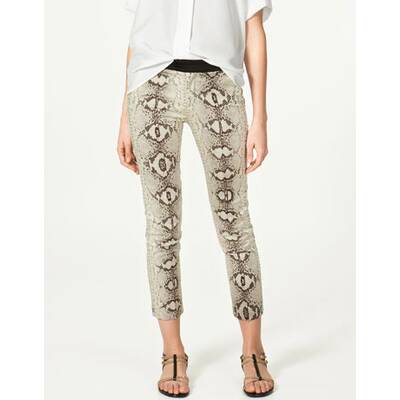 City Safari mit Leo, Zebra und Co. 