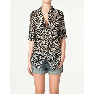 City Safari mit Leo, Zebra und Co. 