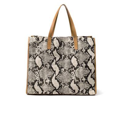 City Safari mit Leo, Zebra und Co. 