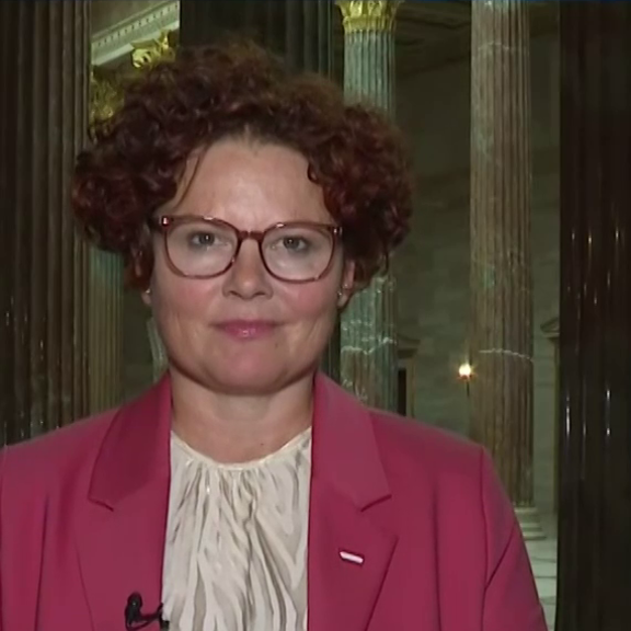 Strompreis-Hammer: Elisabeth Zehetner im Interview | FELLNER! LIVE