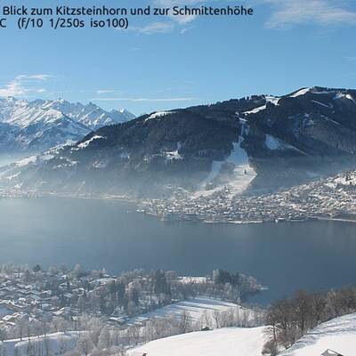 Winter im Wienerwald