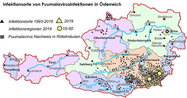 Immer mehr Fälle: Gefährliches Virus führt zu Lungen-Versagen