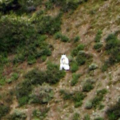 Rätsel um mysteriösen Ziegenmann