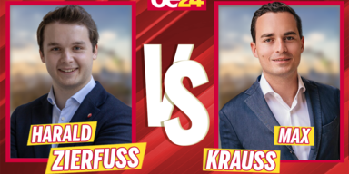 zierfuss krauss .png