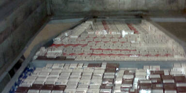 Hunde erschnupperten Schmuggel-Zigaretten