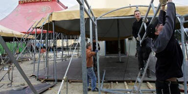 50 Tiere bei Feuer in Zirkus getötet